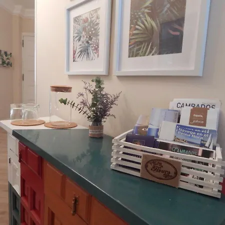 Coral Apartment